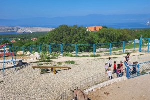 Šmrika (nära Rijeka/Krk/Crikvenica) Åsnefarm Familjekul