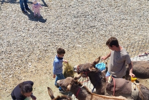 Šmrika (nära Rijeka/Krk/Crikvenica) Åsnefarm Familjekul