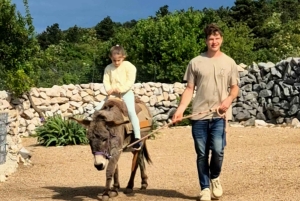 Šmrika (nära Rijeka/Krk/Crikvenica) Åsnefarm Familjekul