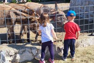 Šmrika (nära Rijeka/Krk/Crikvenica) Åsnefarm Familjekul