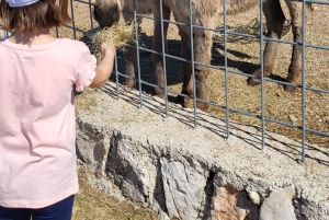 Šmrika (nära Rijeka/Krk/Crikvenica) Åsnefarm Familjekul