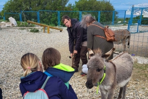 Šmrika (nära Rijeka/Krk/Crikvenica) Åsnefarm Familjekul