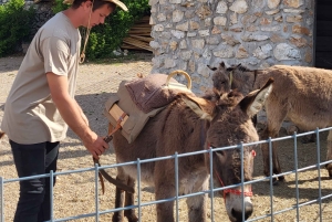 Šmrika (nära Rijeka/Krk/Crikvenica) Åsnefarm Familjekul