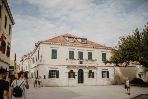 SPEED BOAT TOUR TO KRKA