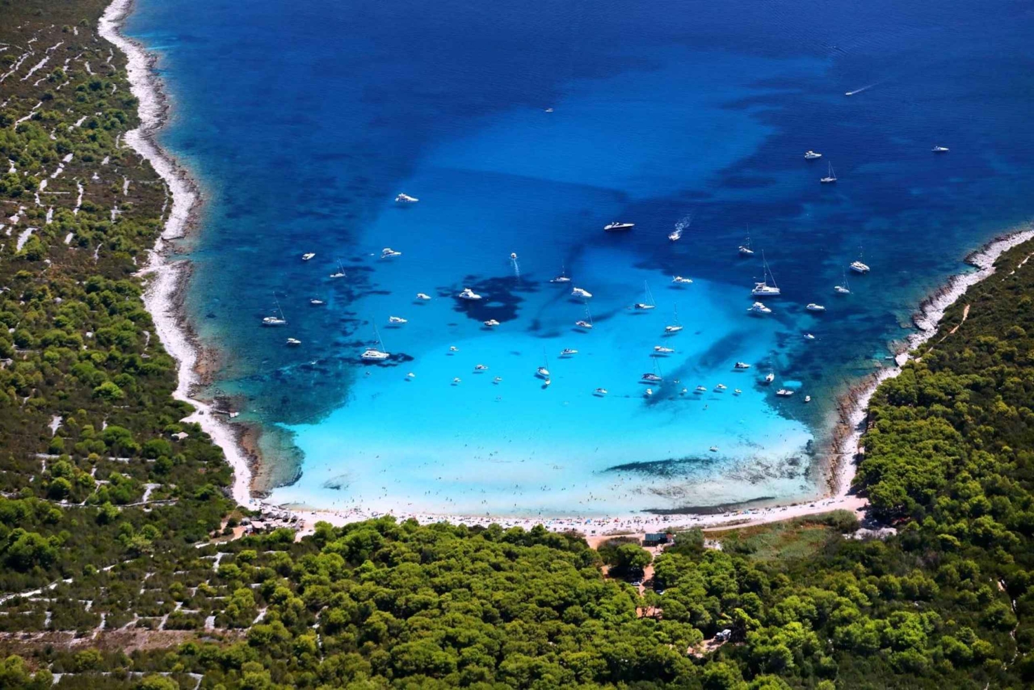 Excursiones en lancha rápida Sakarun,Sunkenshipp,Veli Rat,Bozava;Muline..