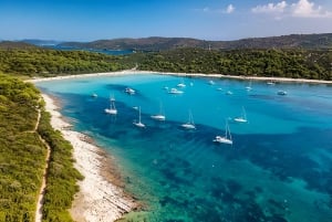 Speedboat Touren Sakarun,Sunkenshipp,Veli Rat,Bozava;Muline..