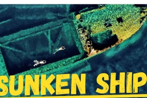 Excursiones en lancha rápida Sakarun,Sunkenshipp,Veli Rat,Bozava;Muline..