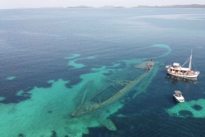 Excursiones en lancha rápida Sakarun,Sunkenshipp,Veli Rat,Bozava;Muline..