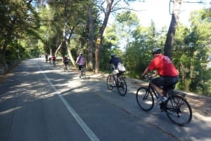 Split 3-Hour Guided Bike Tour