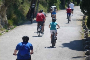 Split 3-Hour Guided Bike Tour