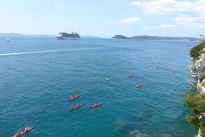 Split 4-Hour Guided Sea Kayak Tour