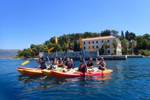 Split 4-Hour Guided Sea Kayak Tour