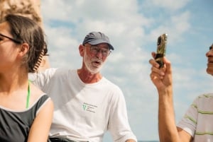 Split: tour de día completo por las 5 islas: Cueva Azul, Vis y Hvar