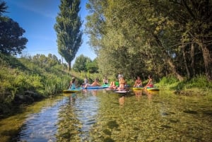 Split: Adriatic Sea and River Stand-Up Paddleboard Tour