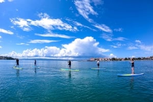 Split: Adriatic Sea and River Stand-Up Paddleboard Tour