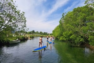 Split: Adriatic Sea and River Stand-Up Paddleboard Tour