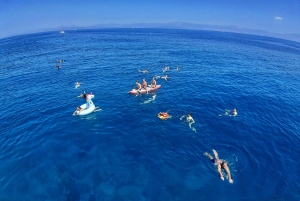 Spalato: Crociera balneare all inclusive sull'isola di Brač e Šolta