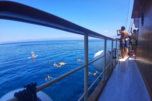 Spalato: Crociera balneare all inclusive sull'isola di Brač e Šolta