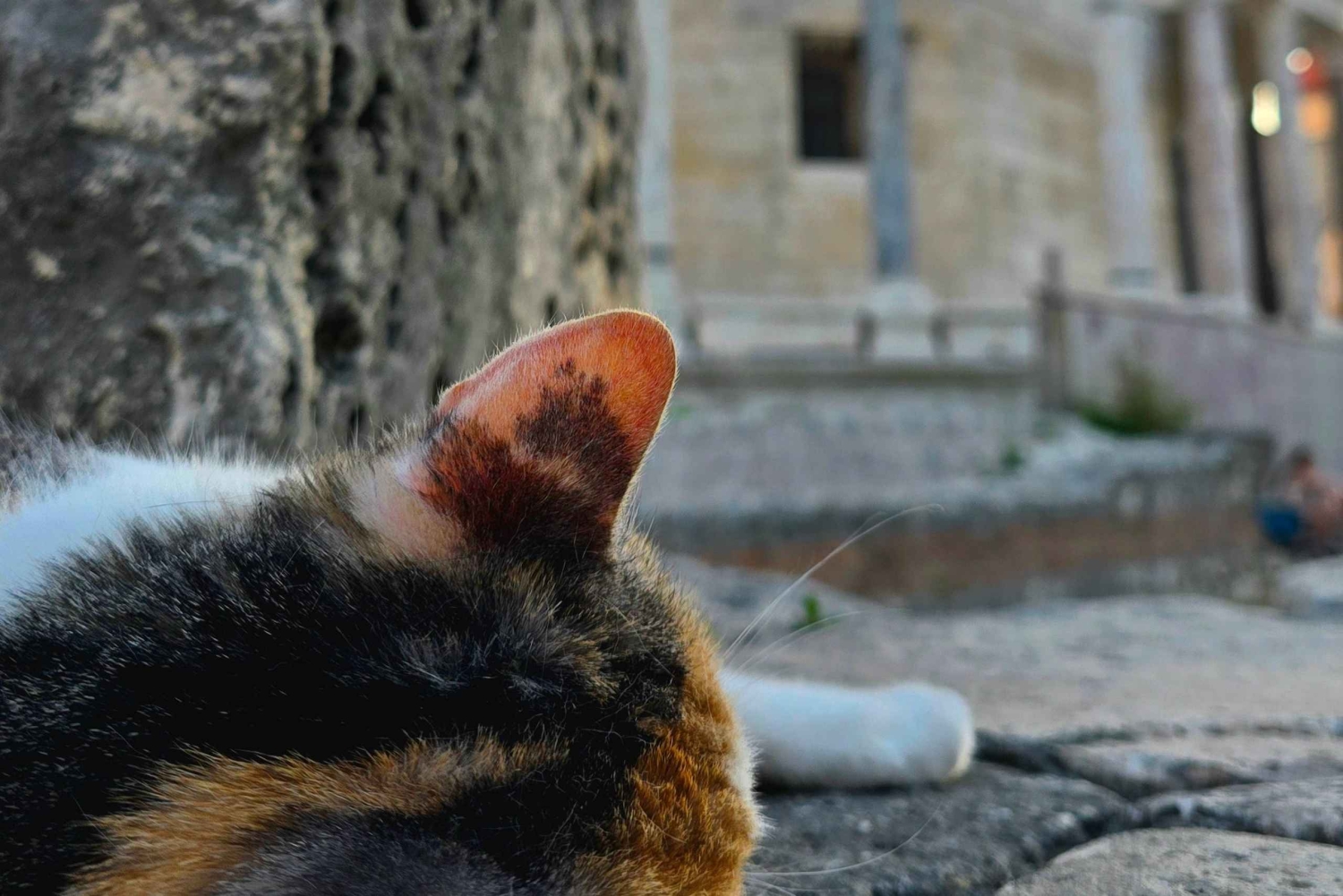 Visite à pied de Split et du palais de Dioclétien avec un guide local