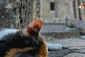 Visite à pied de Split et du palais de Dioclétien avec un guide local