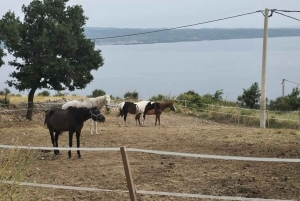 SPLIT: ATV-panoramatour Podstrana en paarden