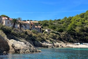 Split : Visite d'une jounée des 5 îles de la Grotte Bleue avec Hvar et Vis