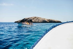 Vanuit Split: Blauwe Grot, Vis & Hvar per speedboot