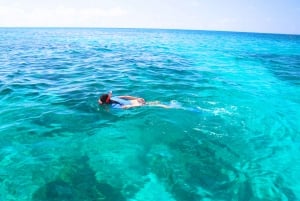 Split: Blue Lagoon & 3 Islands Speedboat Tour – Liten gruppe