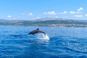 Split: Laguna Azul, Hvar y tour en barco por 6 islas en grupo reducido