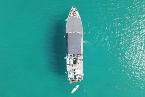 Split: Blå lagune, skipsvrak og Šolta med lunsj og drikkevarer