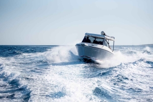 Split: Blå lagunen, Trogir och Solta med motorbåt