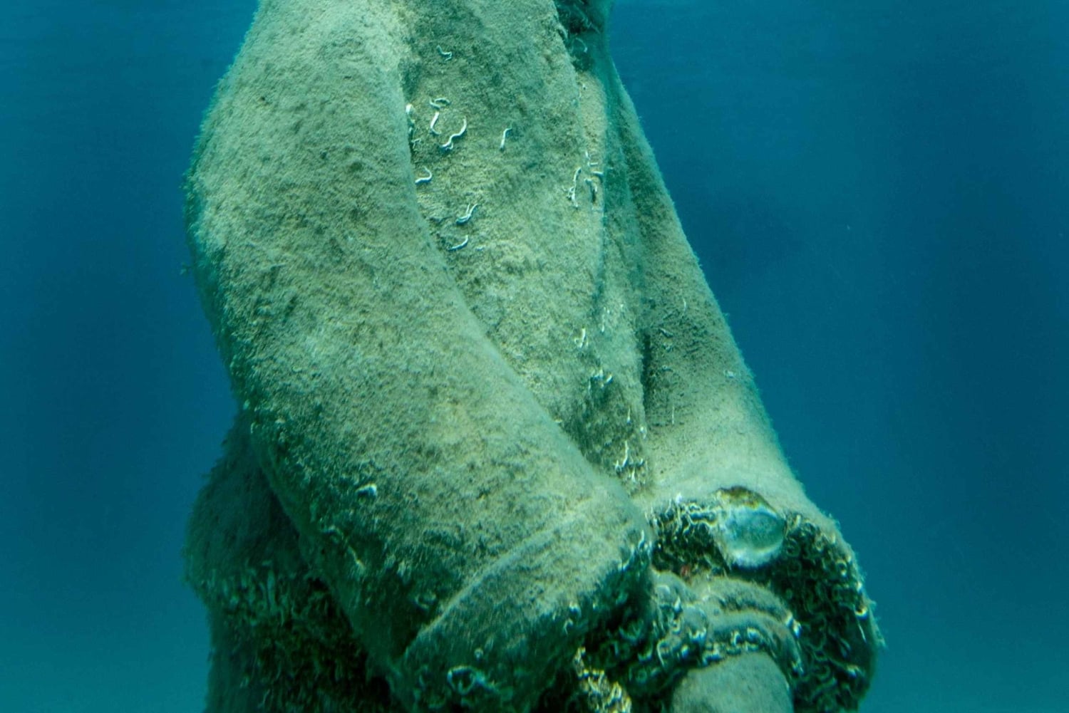 スプリット：ブルーラグーン水中博物館ツアー（ランチとドリンク付き）