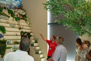 Split: Blue Line -nähtävyyksien katselu Trogiriin, Klisiin ja oliivimuseoon