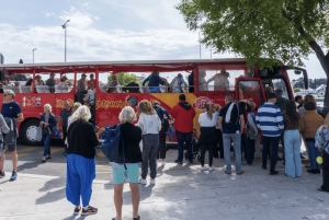 Split: Blue Line -nähtävyyksien katselu Trogiriin, Klisiin ja oliivimuseoon