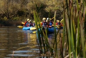 Split: Canoe Safari on the Cetina River
