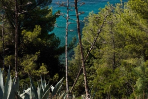 Split: Sightseeing Hop-On Hop-Off-buss rundtur i byen og ekstrautstyr
