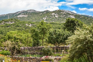 Split: City Sightseeing Hop-On Hop-Off Bus Tour & Extras