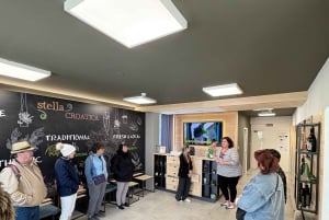 Split: Green Line with Open Bus to Klis & Olive Museum