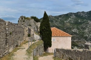 Split: Green Line with Open Bus to Klis & Olive Museum