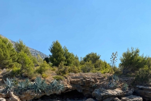 Split: Day Trip to Hvar & Brač Islands with Zlatni Rat Beach