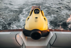 Split: Privat dagstur med yacht