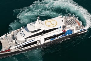 Spalato: viaggi in traghetto tra Spalato e Brazza