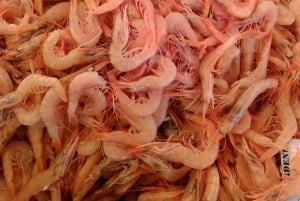 Split: Matprovning och vandringstur