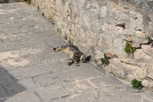 Split: Green Line with Open Bus to Klis & Olive Museum