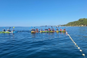 スプリット：ガイド付きカヤック アドベンチャー ツアー