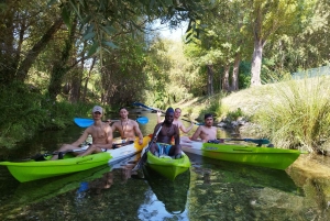 スプリット：ガイド付きカヤック アドベンチャー ツアー