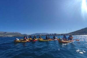Split : excursion guidée en kayak de mer et plongée avec tuba au coucher du soleil avec vin