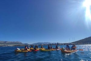 Split: passeio guiado de caiaque no mar ao pôr do sol