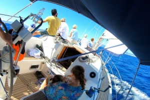 Split: Half Day Sailing Tour with Swim Stop, Snacks and Wine