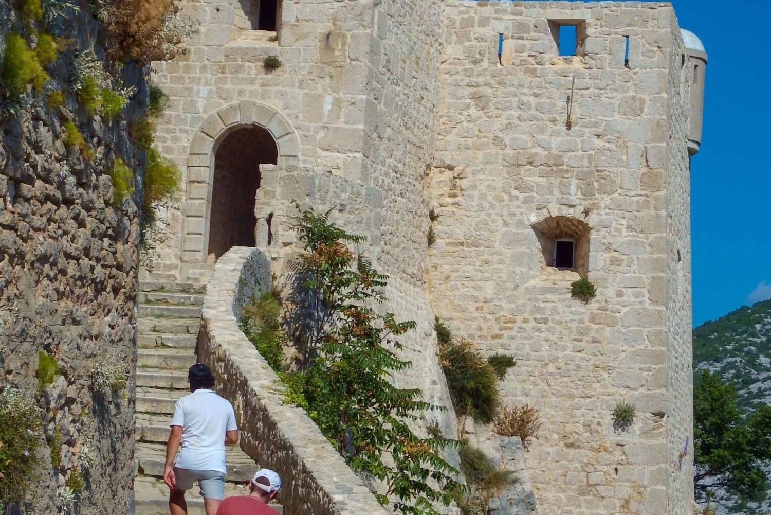 スプリト：ホップオン＆オフグリーンラインでクリス、オリーブ博物館、ジュニャンへ